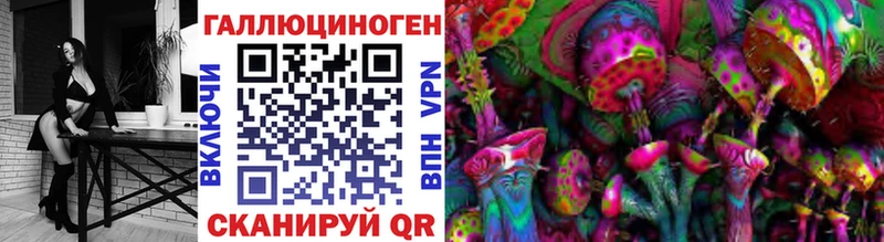 Псилоцибиновые грибы Cubensis  Абаза 